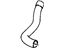 GM 10230747 Lower Hose GM 10230747 Lower Hose