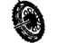 GM 24241246 Gear