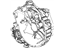 GM 25181489 Housing, Engine Clutch Housing GM 25181489 Housing, Engine Clutch Housing