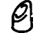 GM 10150918 Spacer, Hood Panel Ornamentation GM 10150918 Spacer, Hood Panel Ornamentation
