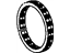 GM 24223815 Spring, Transmission Forward Cone Flywheel
