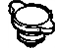 GM 97177848 Radiator Cap GM 97177848 Radiator Cap