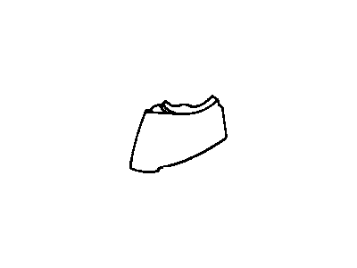 Chevy 10258682 Apron Assembly