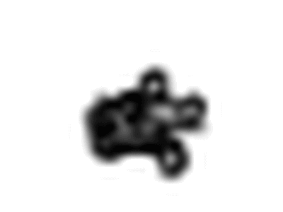 Chevy 23208388 BRACKET,BODY SIDE FRONT FENDER REAR LOWER(PART OF 5)