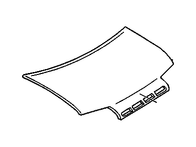 Pontiac 10284404 Hood