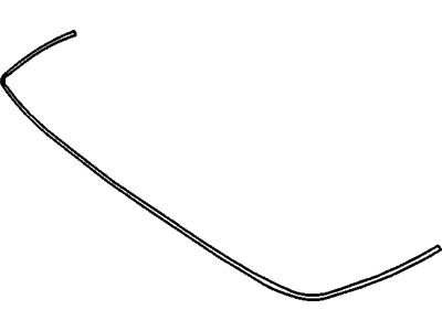 Pontiac 10054993 Molding