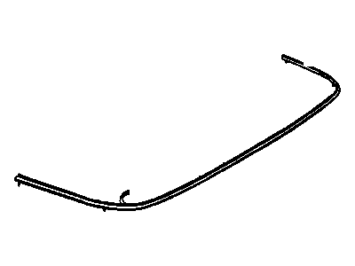 GM 25606676 Outer Molding, Passenger Side