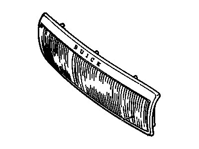 Buick 10211248 Grille