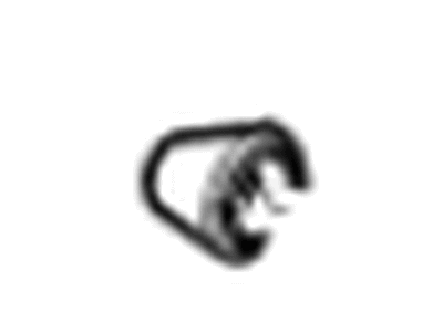 GM 13175544 Tail Lamp Assembly Cover, Rear