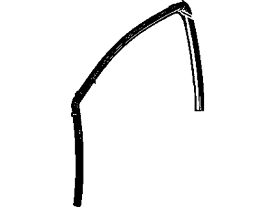 Chevy 95379897 WEATHERSTRIP,FRONT SIDE DOOR WINDOW