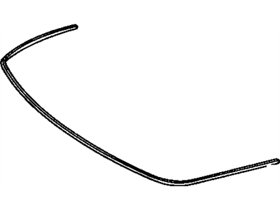 Pontiac 10082760 Molding