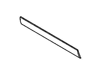 Pontiac 10038080 Rocker Molding