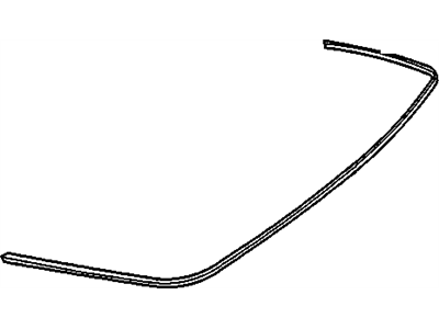 Cadillac 25655096 Lower Molding