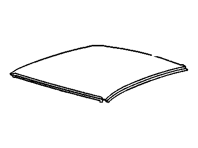 Buick 20539354 Roof