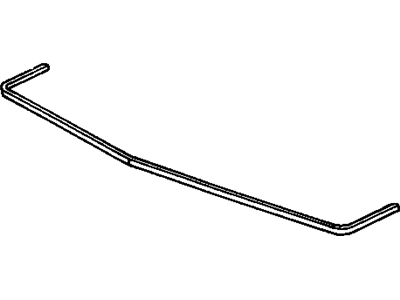 Pontiac 22569928 Molding