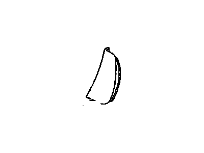 10066807 GM Reveal Molding Filler Panel, Driver Side Illustration 1 of 1