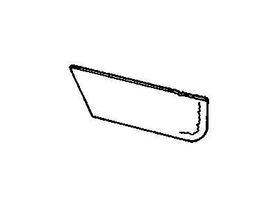 Buick 16671908 Carpet Trim