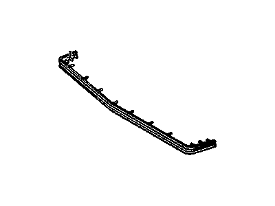 Pontiac 10028019 Molding