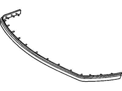 3636896 GM Rub Strip, Front, Rubber Illustration 1 of 1