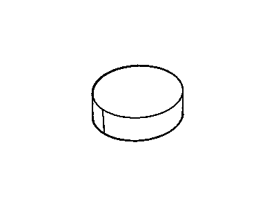 Buick 10281334 Luggage Compart