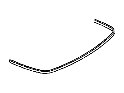 Buick 14094914 Molding