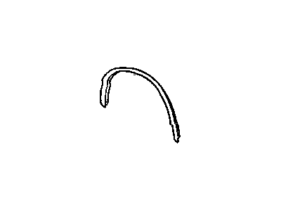 GM 25517885 Molding, Black, Front Driver Side 25517885 GM Molding, Black, Front Driver Side Illustration 1 of 1