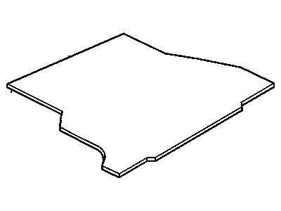 Pontiac 10202505 Carpet