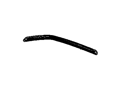 Buick 20641979 Drip Molding