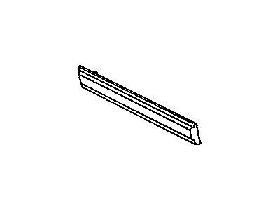 Buick 20498251 Side Molding