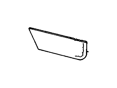 Buick 16671904 Carpet Trim