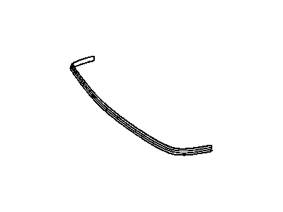 25522690 GM Molding, Rubber Illustration 1 of 1