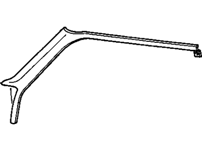 Buick 20652452 Molding