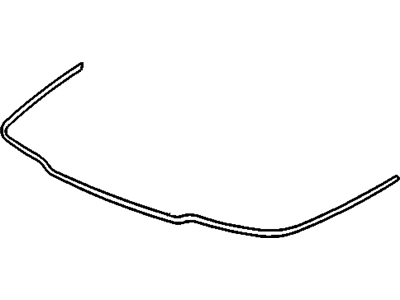 Buick 25606684 Molding