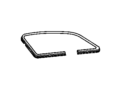 Pontiac 10224848 Reveal Molding