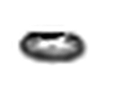 Chevy Fuel Injector O-Ring - 12686813