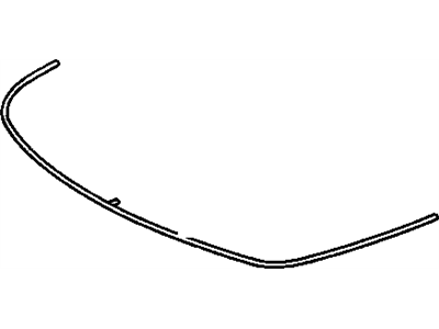 Oldsmobile 10155456 Molding