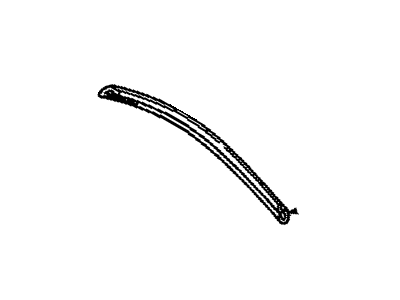 Pontiac 20653568 Front Molding