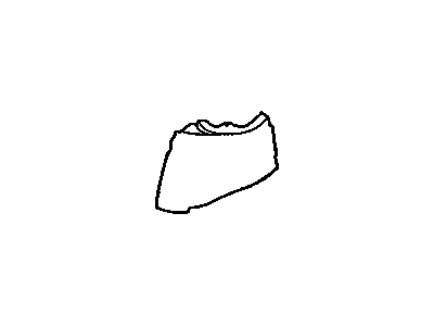 Chevy 10258681 Apron Assembly