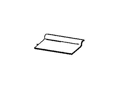 Cadillac 16721303 Protector