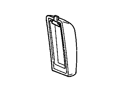Chevy 10060511 Door
