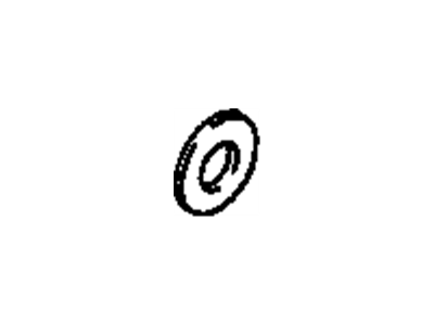 Chevy 96051327 Washer