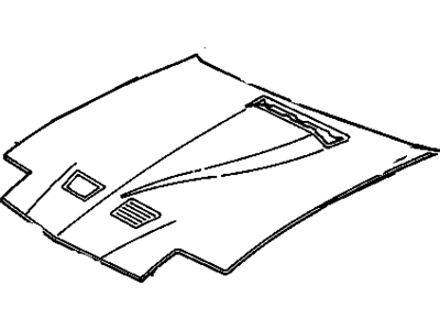 Pontiac 10030760 Hood