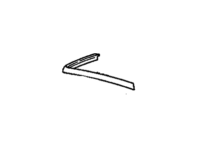 Buick 20641981 Drip Molding