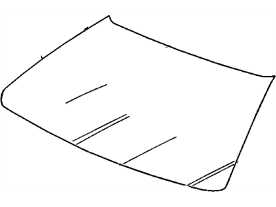 Chevy 10292981 Windshield