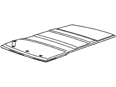 Chevy 15623501 Headliner