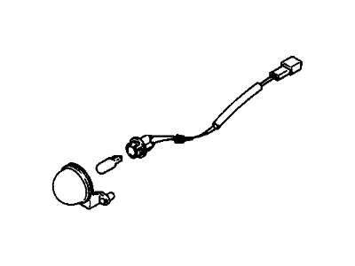 Chevy 30000160 License Lamp