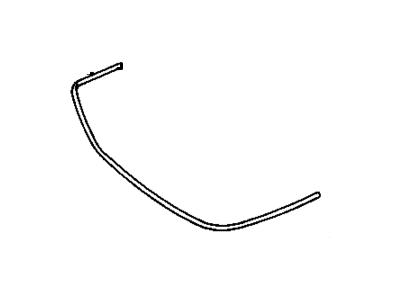 Chevy 10116143 Molding