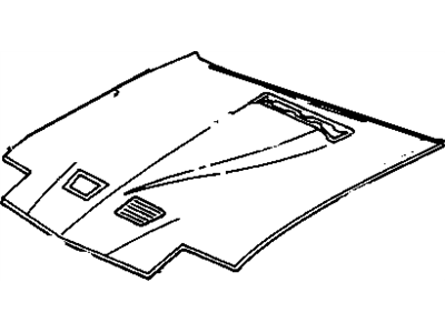 Pontiac 10030760 Hood