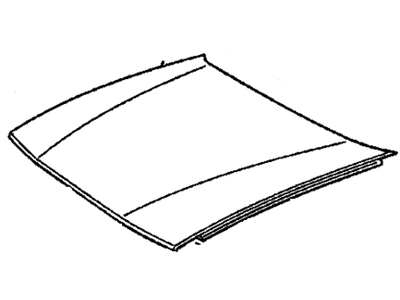 Cadillac 25665588 Hood