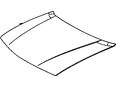 Pontiac 12512548 Hood